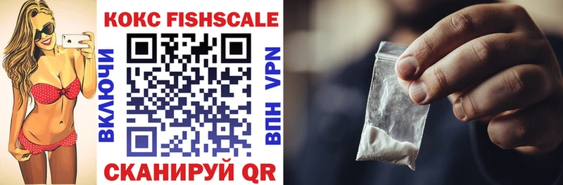 COCAIN FishScale  Купить закладки  Заволжск 