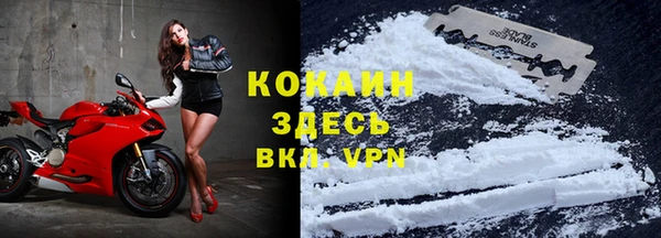 прущая мука Карпинск