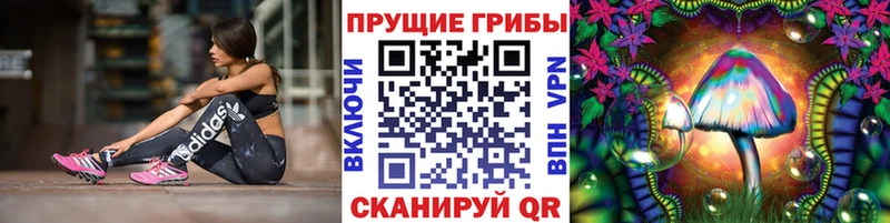 Купить  Заволжск  Галлюциногенные грибы мухоморы 